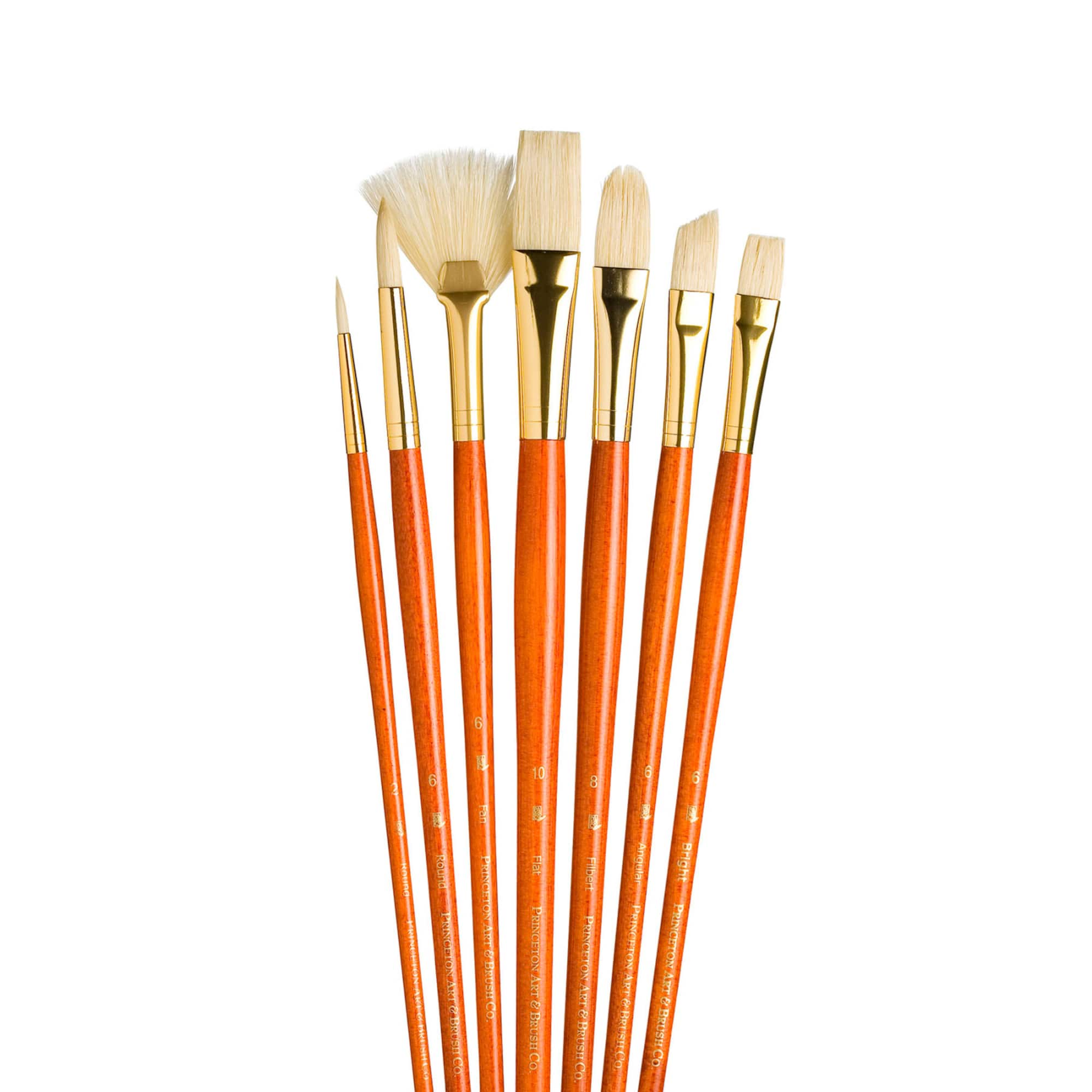 Princeton™ RealValue™ Bristle Brush Set